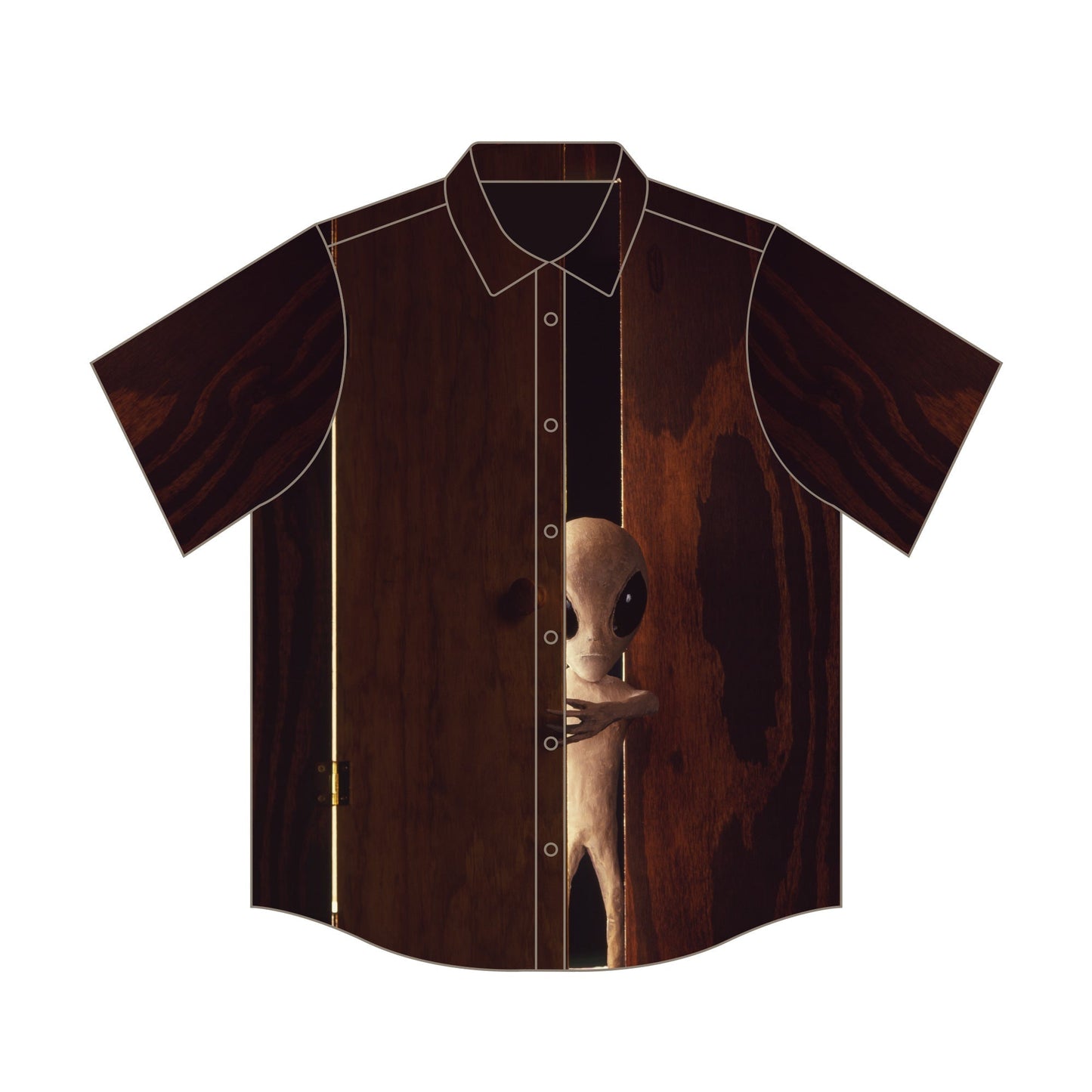 Visitor Button Down (Assorted)
