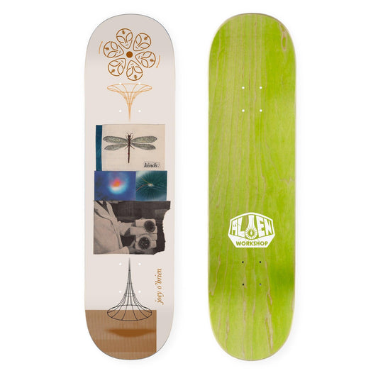 Joey O'Brien Kinds White 8.0"